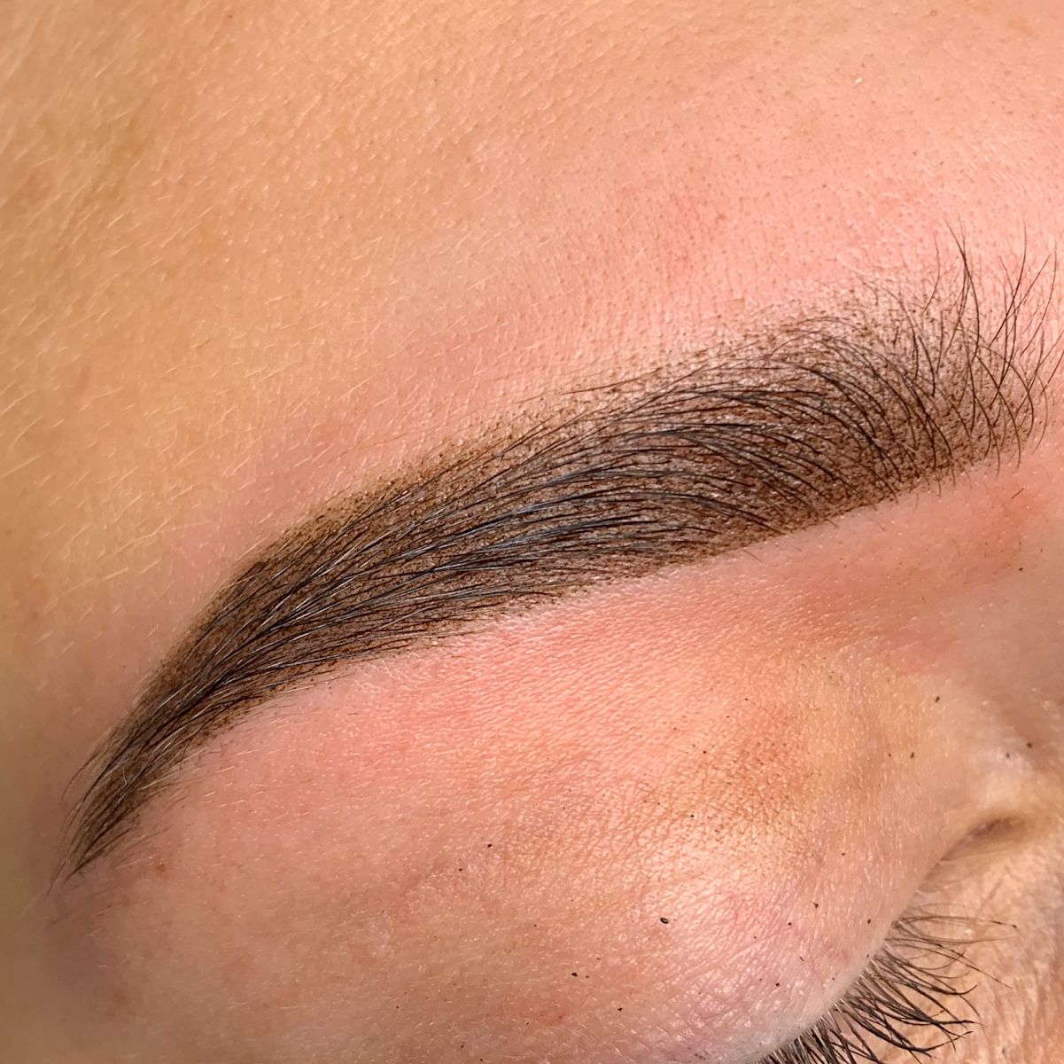 Augenbrauen-Ergebnis, Esthetic Beauty Stendal